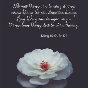 Meet your Posher, Thao